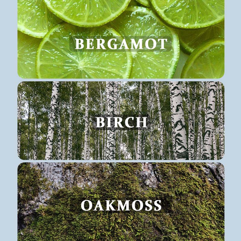 Inspired by Aventus (2010)