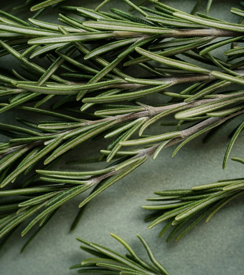 Rosemary