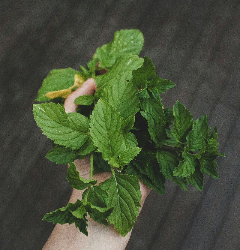 Peppermint